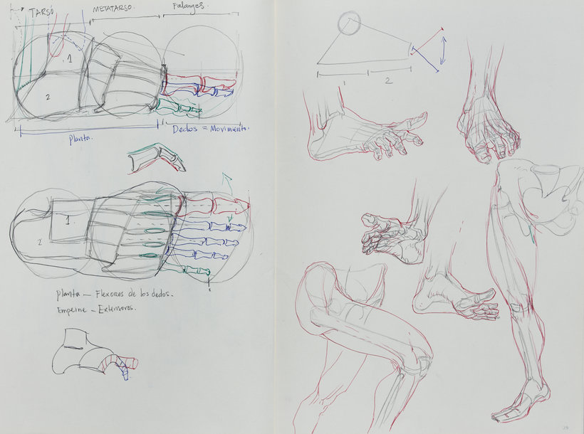How to Draw the Human Back, a Step-by-Step Construction Guide – GVAAT'S  WORKSHOP