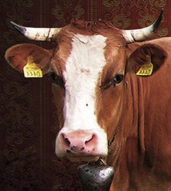 mesas y sillas de cocina | Domestika